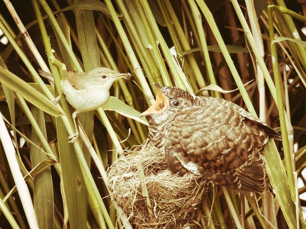 Фотография из интернета 