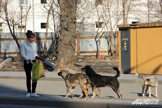 Фото с источников интернета