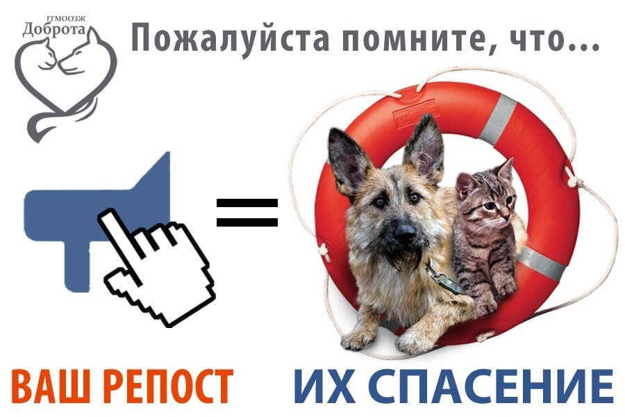 Источник https://i.mycdn.me/i?r=AzEPZsRbOZEKgBhR0XGMT1Rk3JG3bMif9AjWebVat3SBZ6aKTM5SRkZCeTgDn6uOyic