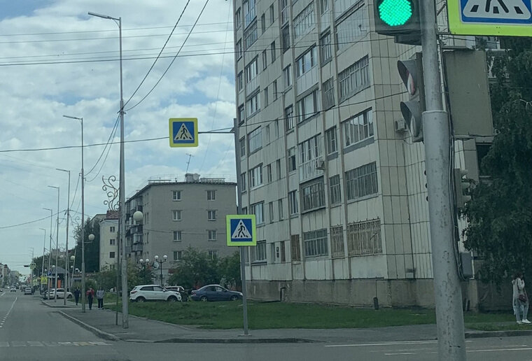    В Кургане выкорчевали деревья на улице Карла Маркса, высаженные в конце прошлого года