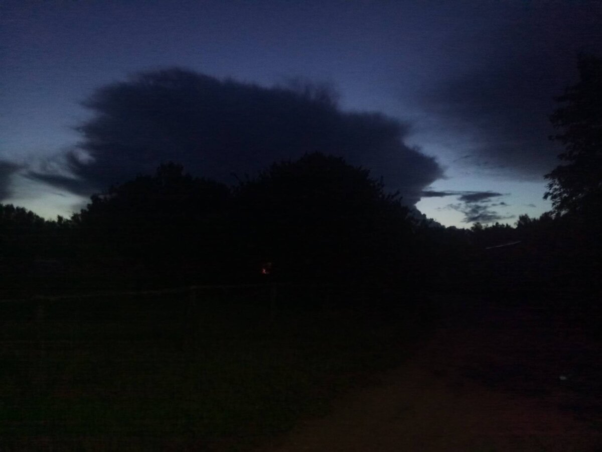 Так хомячки представляют Гегеля