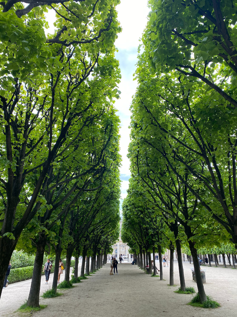 В основе длительных отношений часто лежит решимость завтра их ...