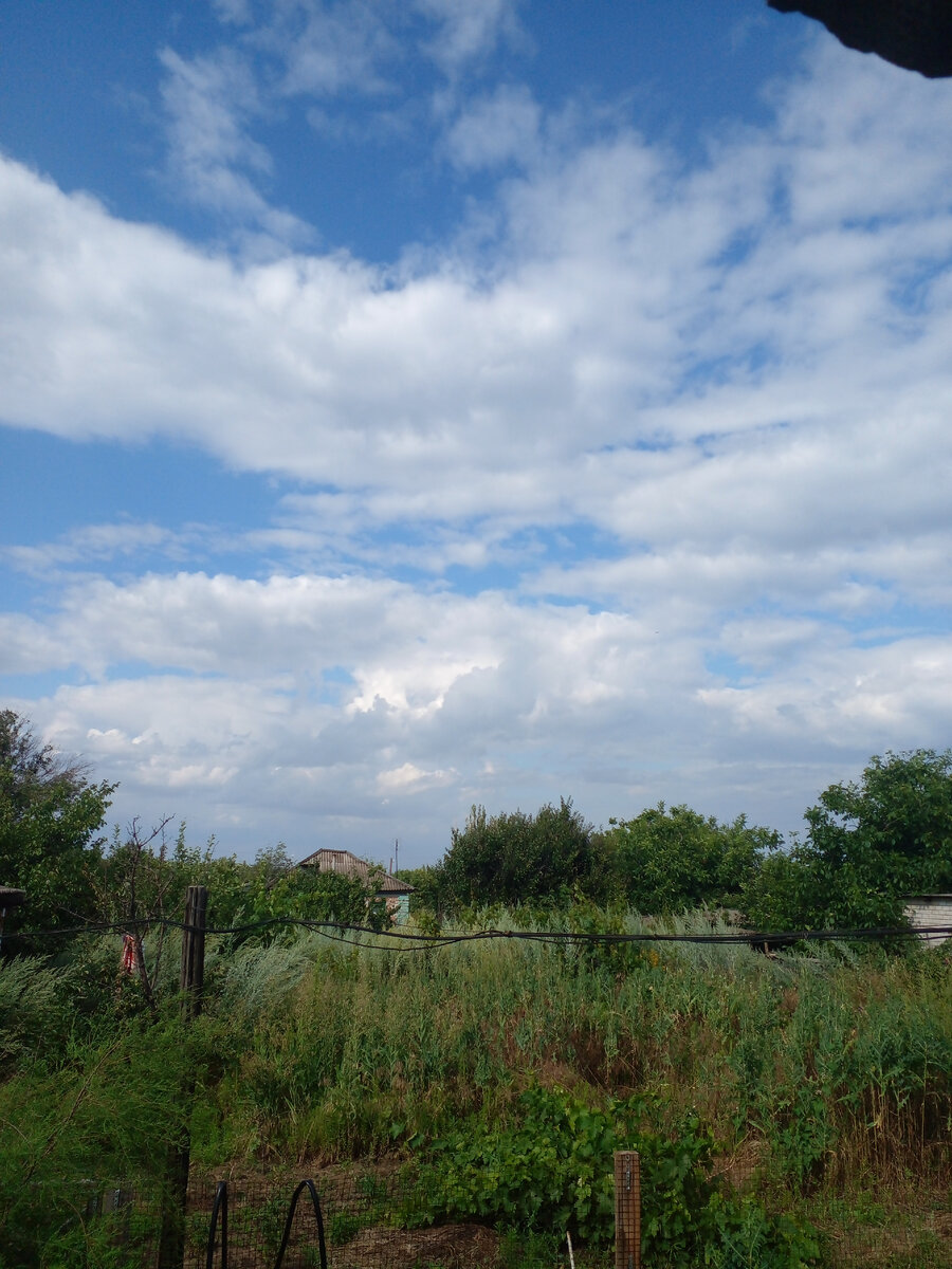 Погода сегодня.