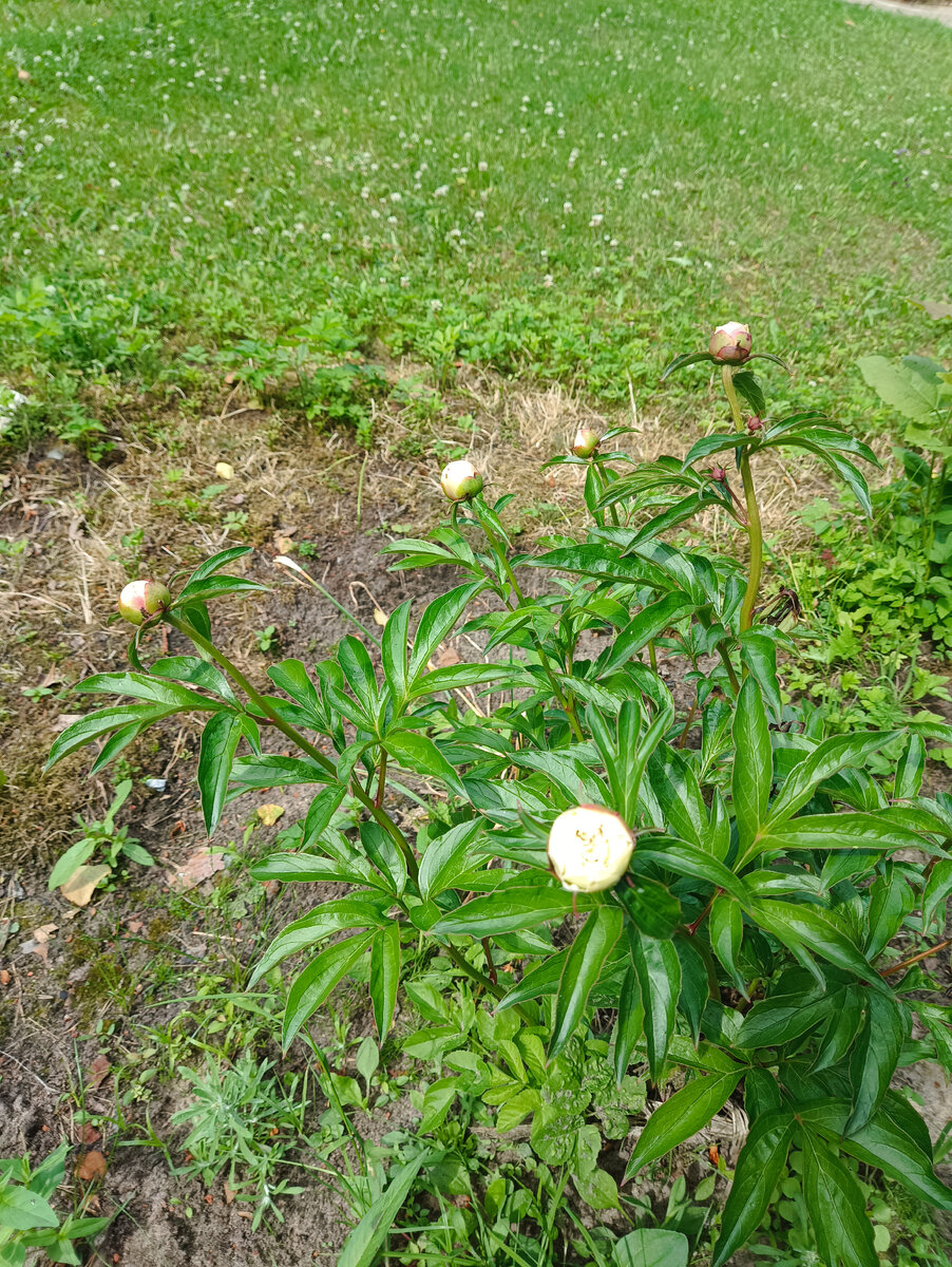  (фото автора)