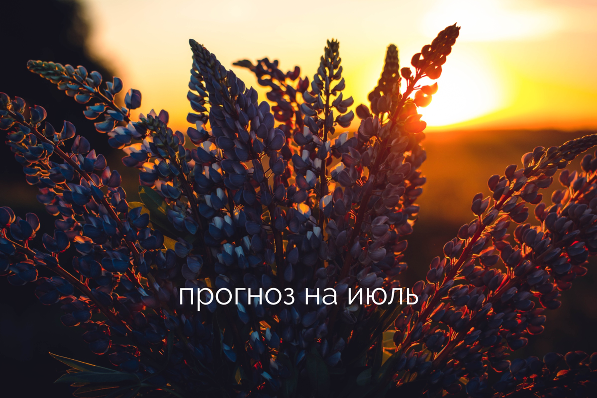 Прогноз на следующий месяц обещает нам захватывающие события и невероятные возможности! Если Вы готовы к активным перемещениям и новым начинаниям, то держитесь крепче, ведь Вас ждет удивительное путешествие!

Мы находимся под влиянием седьмого аркана, который приносит энергию движения и перемен. Это отличное время для смены жилья, переездов и всего, что связано с изменением окружающей среды. Если Вы задумывались о переезде или обновлении своего жилища, то сейчас самое время воплотить свои мечты в реальность.

Но не только перемены в сфере жилья ждут нас впереди. Это также прекрасный период для путешествий и деловых командировок. Отправляйтесь на приключения, и Вы откроете для себя новые возможности и заведете полезные знакомства. Не упускайте шанса расширить круг общения и обрести новых друзей и единомышленников.

Энергия месяца обещает рост и развитие в карьере. Вы можете подняться по карьерной лестнице и добиться значительных успехов в своей профессии. Не стесняйтесь выставлять свои таланты на показ и взять на себя руководящую роль. Ваша решимость и целеустремленность будут оценены по заслугам.

Если Вы мечтаете о бизнесе, то сейчас самое время для его открытия или расширения. Не бойтесь обратиться за помощью к коллегам и деловым партнерам, ведь вместе Вы сможете достичь больших результатов. Коллективные усилия окажутся ключевыми на этом этапе, поэтому объединяйтесь и совместно реализуйте свои проекты.

Но будьте осторожны, в этом периоде могут возникнуть некоторые трудности. Задержки, препятствия и недоразумения могут нарушить Вашу гармонию. Будьте готовы к возможным проблемам с работой, репутацией и конкуренцией. Однако не позволяйте негативным событиям отвлекать Вас от достижения Ваших целей. 

Возможны непредвиденные ситуации на дороге или неудачные поездки, но не позволяйте этому сбить вас с пути.

Главное, помните, что Ваш настрой и уверенность в своих силах играют важную роль в достижении успеха. Будьте настойчивыми, не сомневайтесь в себе и идите вперед, даже если появятся препятствия.

Не забывайте, что этот месяц предоставляет Вам уникальные возможности для роста как личностного, так и профессионального. Будьте открыты новым идеям, стремитесь к достижению своих целей и не бойтесь выходить за рамки привычного. Вас ждет впечатляющее путешествие, полное приключений и открытий.

Так что готовьтесь к захватывающему месяцу, полному возможностей и перемен. Используйте его наилучшим образом, чтобы раскрыть свой потенциал и добиться желаемого успеха!
