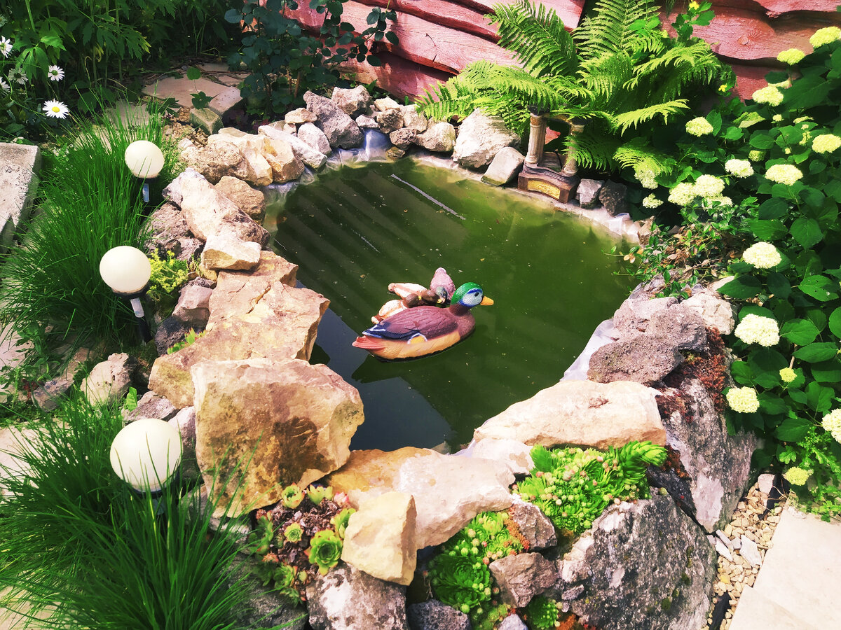 Прудик в моём дворе..