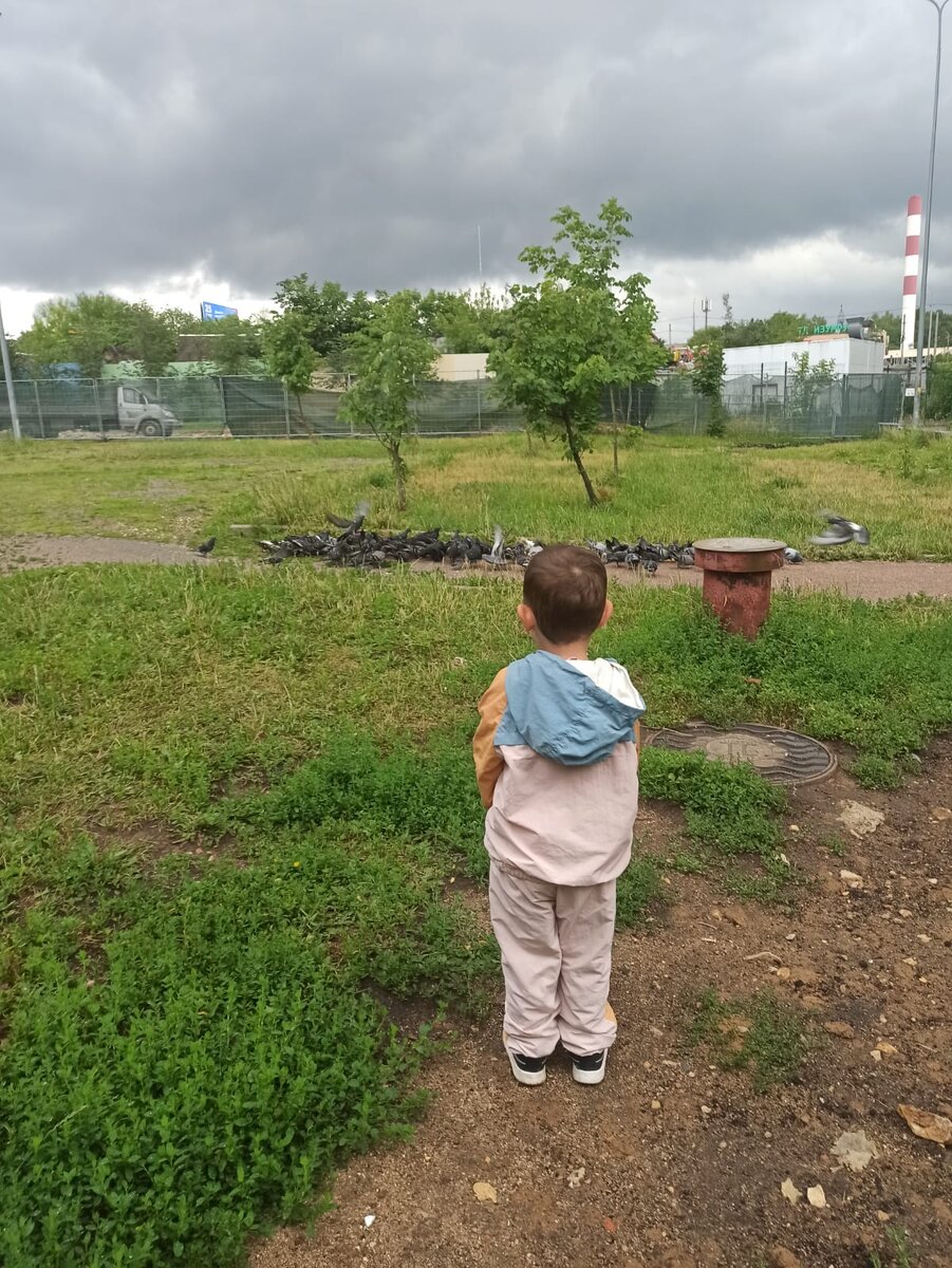 На пути к взрослой жизни