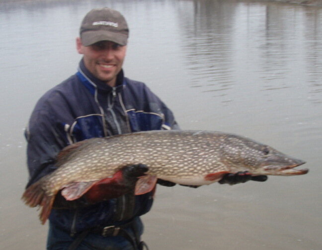 Платная рыбалка в Капустино (условия и цены)