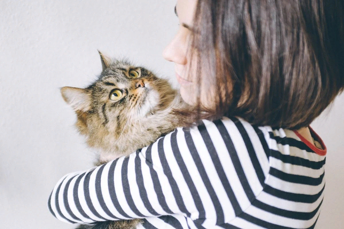 Человек любящий кошек. Девушка обнимает кота. Девушка с котом. Кошка обнимает. Объятия с котом.