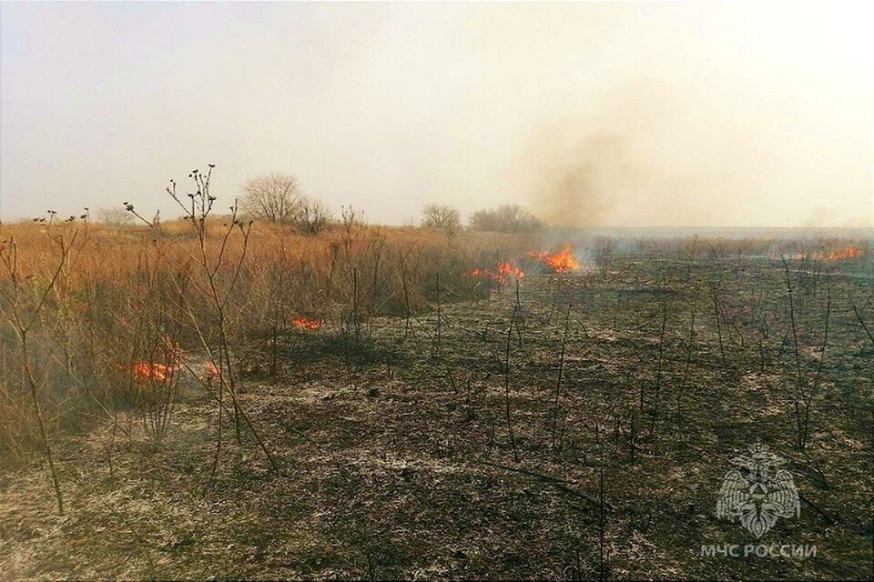    Пожарным приходится ежедневно выезжать на тушение огня на полях и лугах ГУ МЧС России по Самарской области