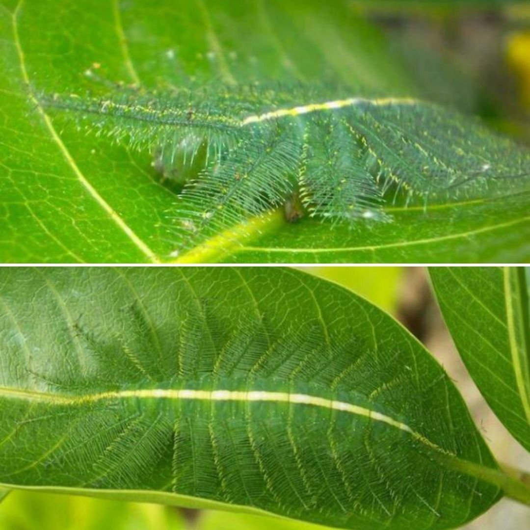 "Видишь суслика? Нет. И я не вижу, а он есть."