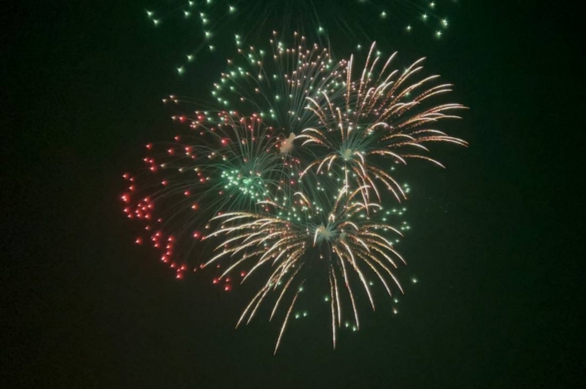    В Липецкой области решили отказаться от салютов на 9 мая