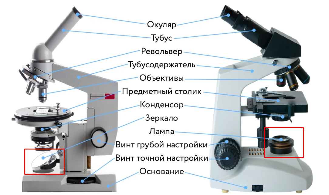 Суть микроскопа. Микроскоп оптический м201. Строение микроскопа макровинт. Микроскоп макровинт 5 класс биология.