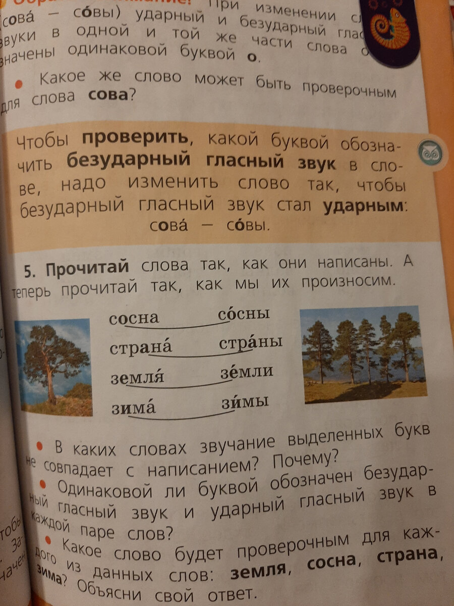 Безударные гласные в корне слова