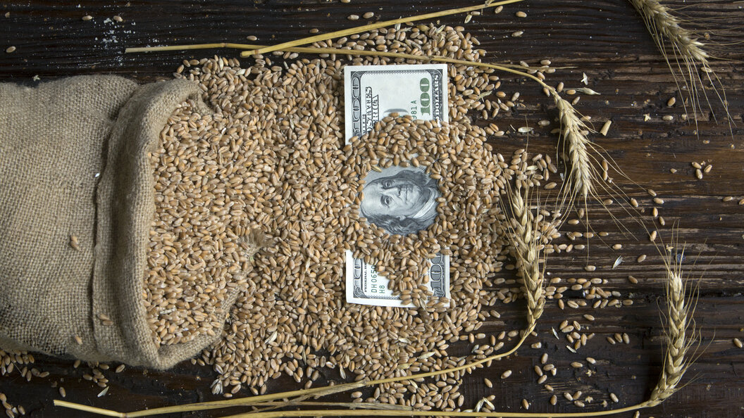 С украинским зерном в Восточную Европу прибыл вирус дестабилизации