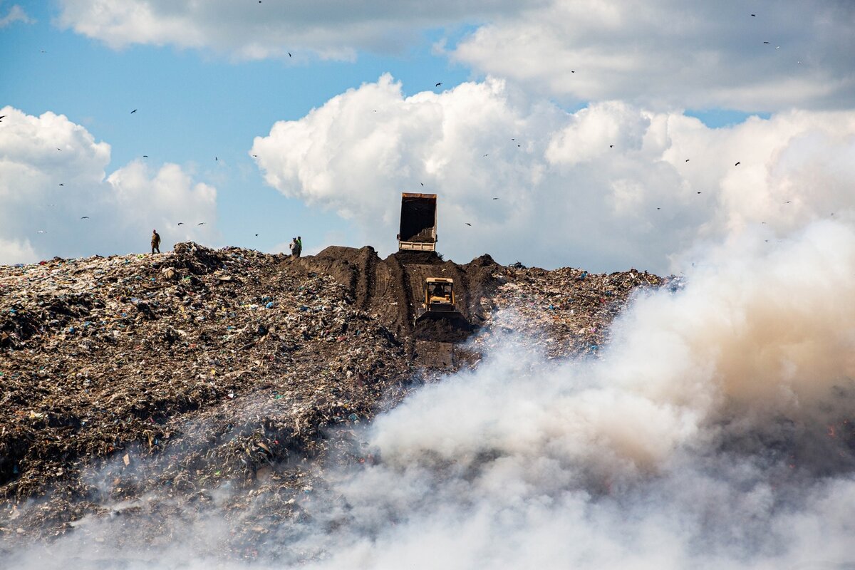 фото Густаво Зырянова/ Сиб.фм