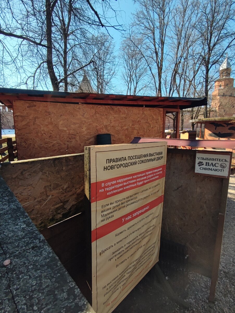 Новгородский соколиный двор, Великий Новгород - "Невероятное место в самом сердц