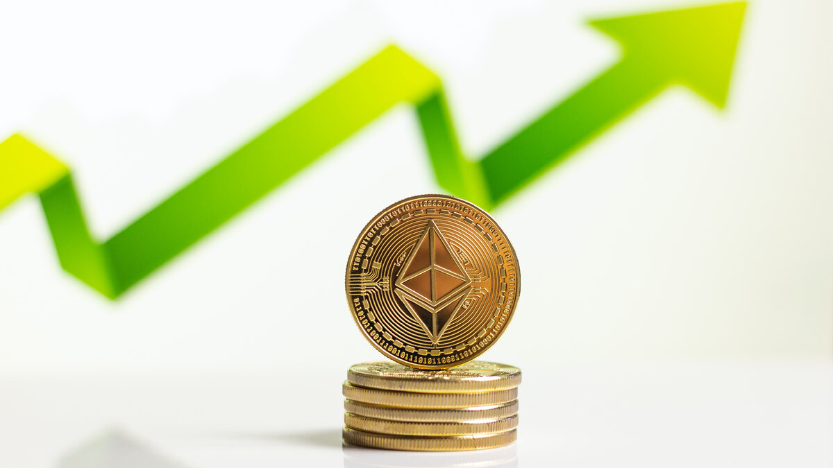 https://mytd.cc/2by