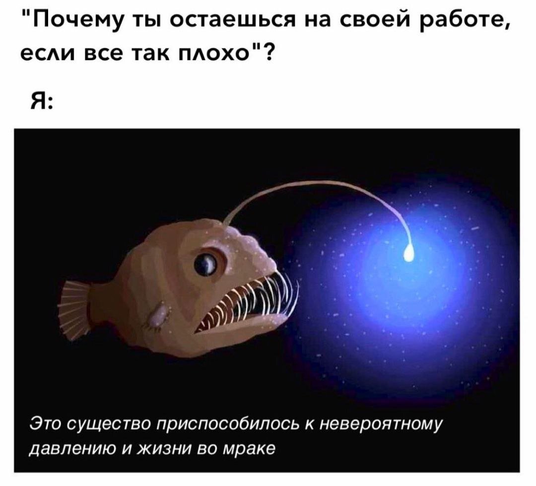 Не знаю, как вы, я а вычеркиваю пункт "стрессоустойчивость" из резюме ахах