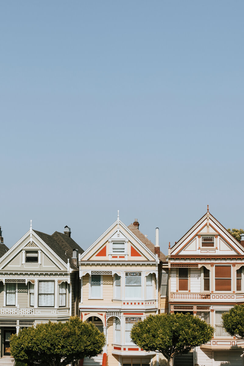 <a href="https://ru.freepik.com/free-photo/the-painted-ladies-of-san-francisco-usa_3472329.htm#page=2&query=%D0%B3%D1%80%D0%B0%D0%BD%D0%B8%D1%86%D1%8B%20%D1%83%D1%87%D0%B0%D1%81%D1%82%D0%BA%D0%B0%20%D1%81%D0%BE%D1%81%D0%B5%D0%B4%D0%B8&position=25&from_view=search&track=ais">Изображение от rawpixel.com</a> на Freepik