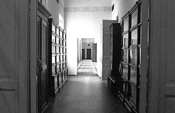 Коридор-библиотека