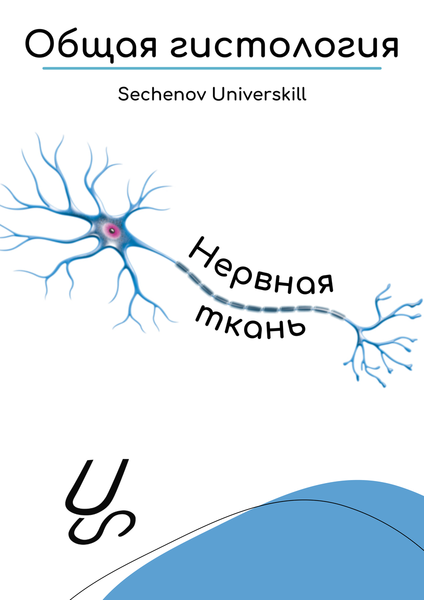 Нервная ткань | Александр Сеченов из медицинской онлайн школы - Sechenov  Universkill | Дзен