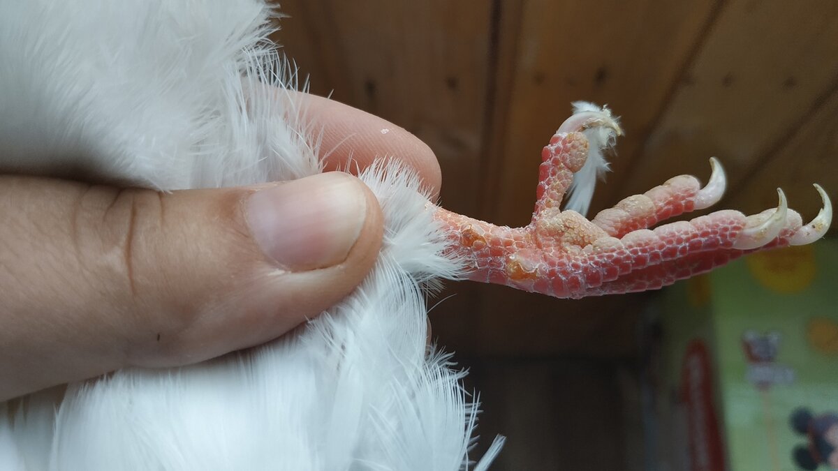 фото из моего архива