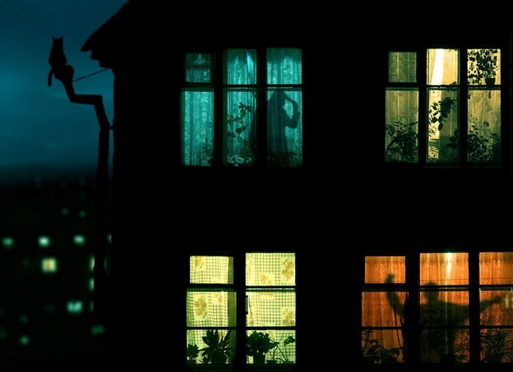 Ночные окна. Фото с сайта pro-dachnikov.com