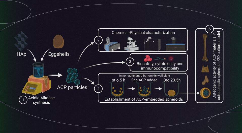   Håvard Jostein Haugen et al. / Smart Materials in Medicine, 2023