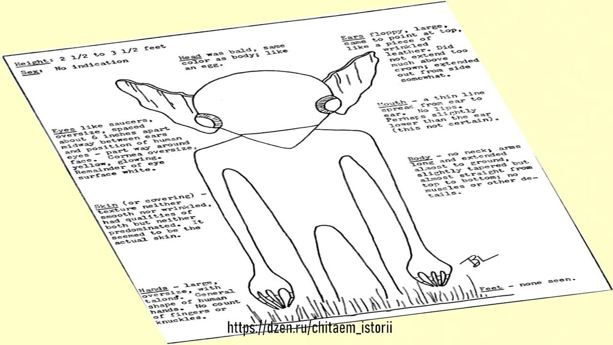 Встреча с НЛО в Келли-Хопкинсвилле в 1955 году. Задокументированное  нападение гоблиноподобных инопланетян | Читаем Истории | Дзен