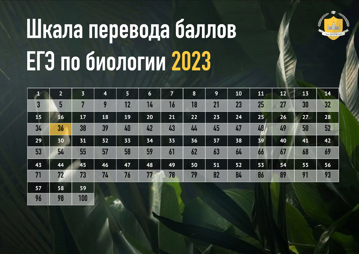 Первичные баллы егэ биология Первичные баллы егэ биология