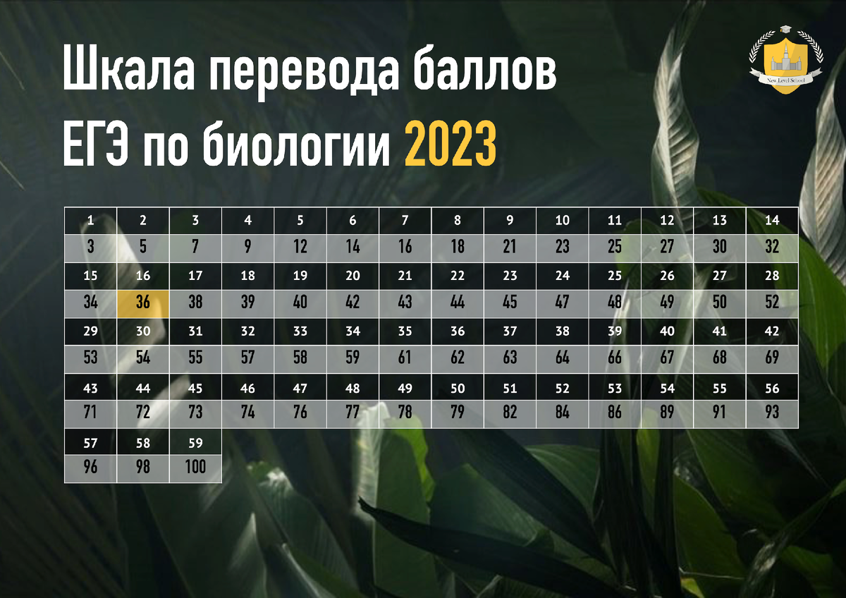 Первичные баллы во вторичные егэ 2023