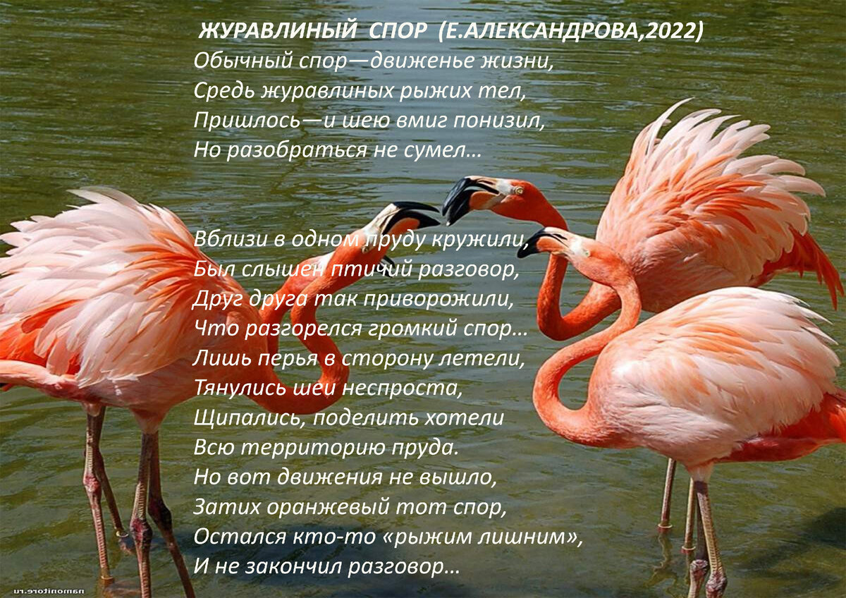 Фотооткрытка от дизайн-студии Красные маки (заказ на сайте красные-маки.рф)