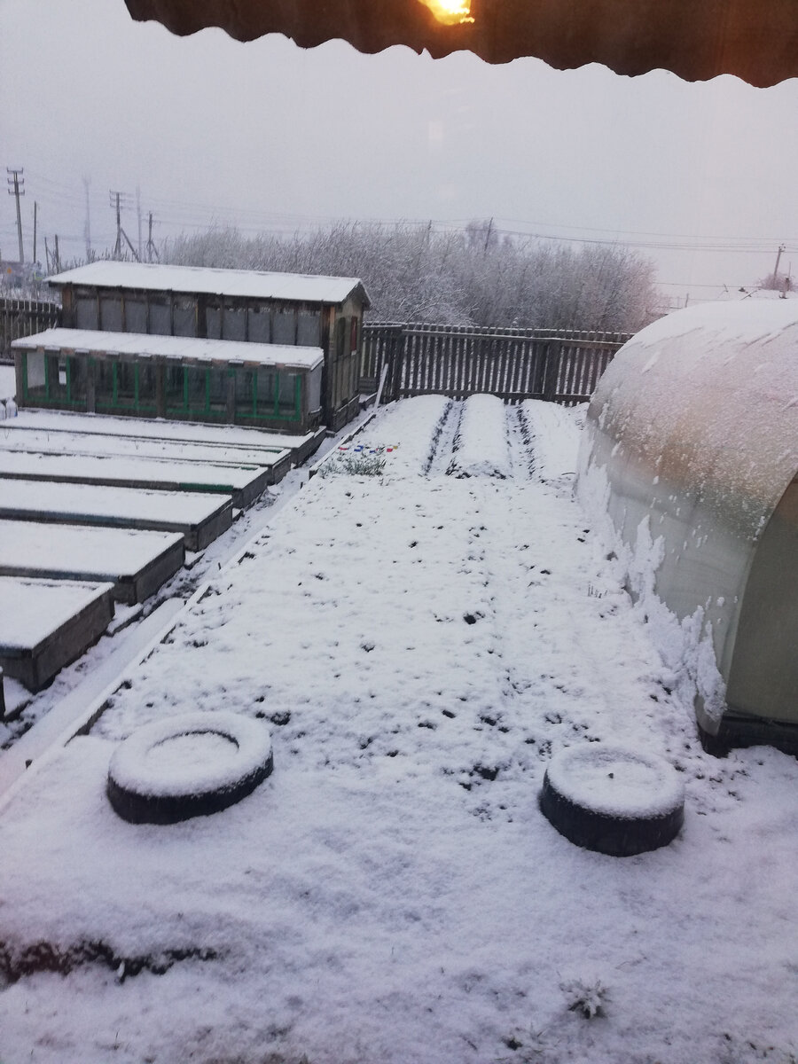 А это через  полчаса столько намело.