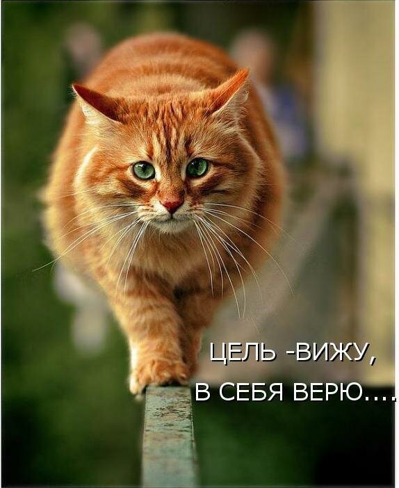 Добавьте описание