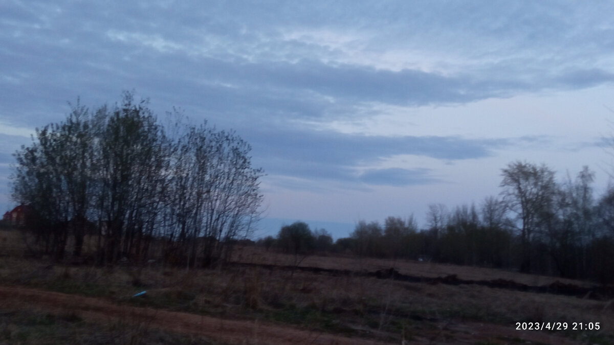 Поля
