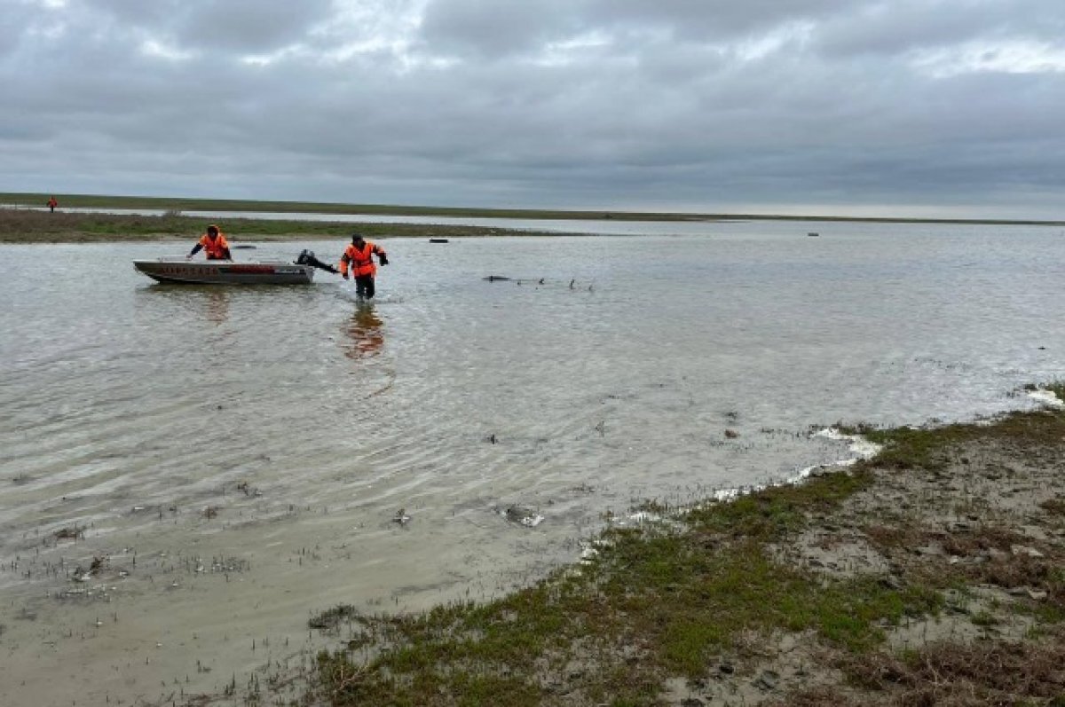    Один турист погиб во время сплава на байдарках по озеру на Ставрополье