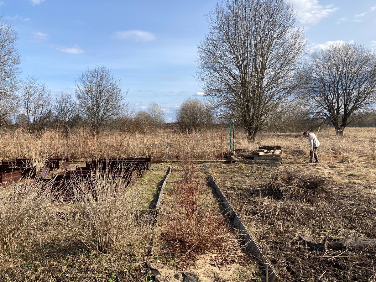 Этот же участок весной («ромашки» справа) →