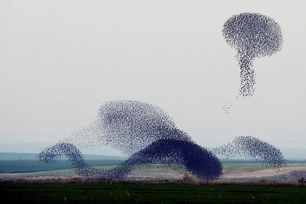 Яндекс/фото
