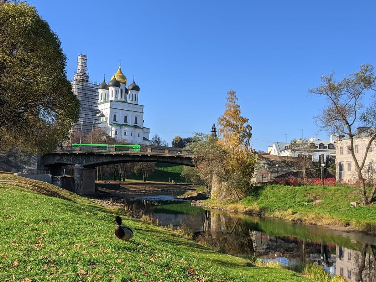 Псковский утак.