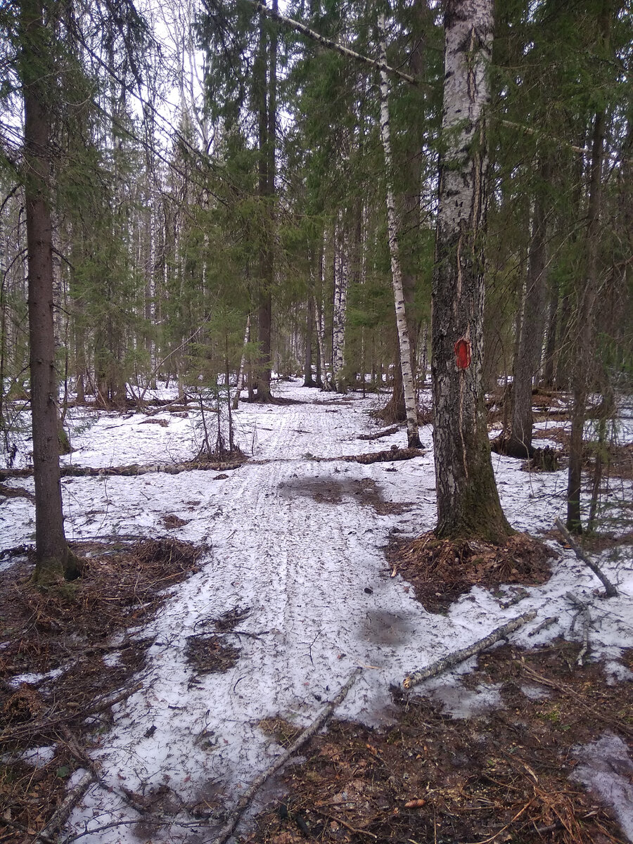 Вид тропы от Столбов