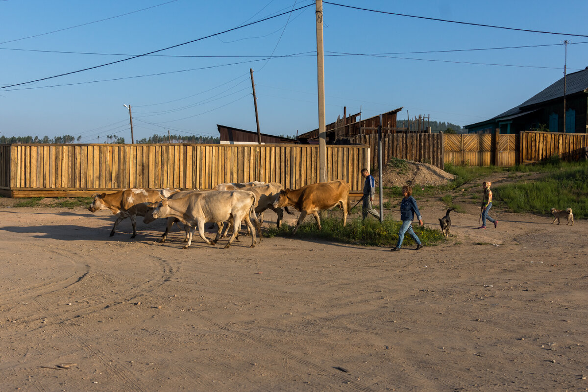 Петровск-Забайкальский | Камера, блокнот, дорога | Дзен