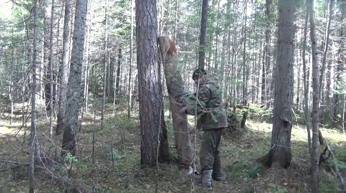 Федорович примеряется нести бревно одному или вдвоем или кантовать бревно смотрите на видео в конце СТАТЬИ