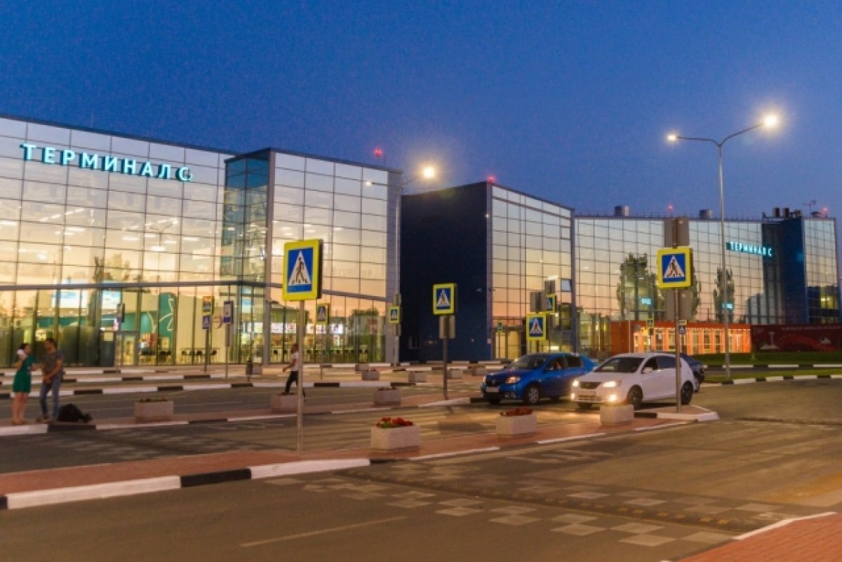    В аэропорту Волгограда высказались о кроликах на взлетной полосе