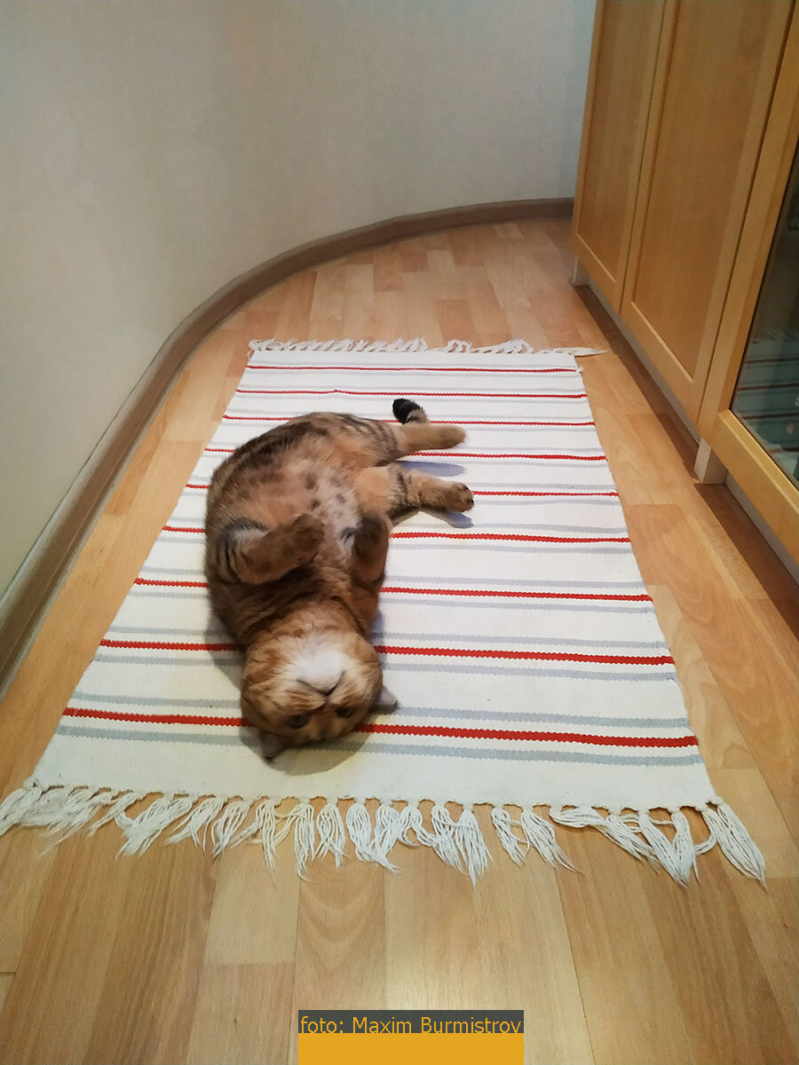 Нежнятина в исполнении Бена.
