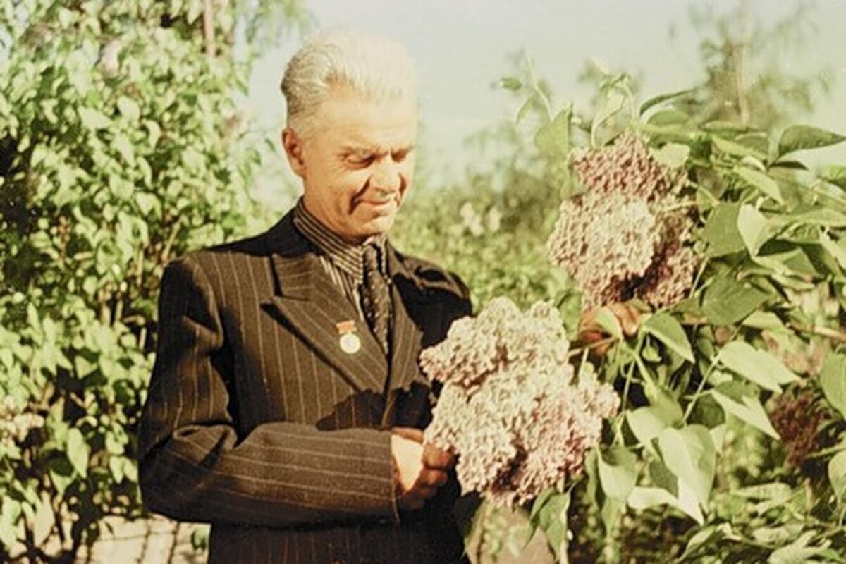 Л.А. Колесников 