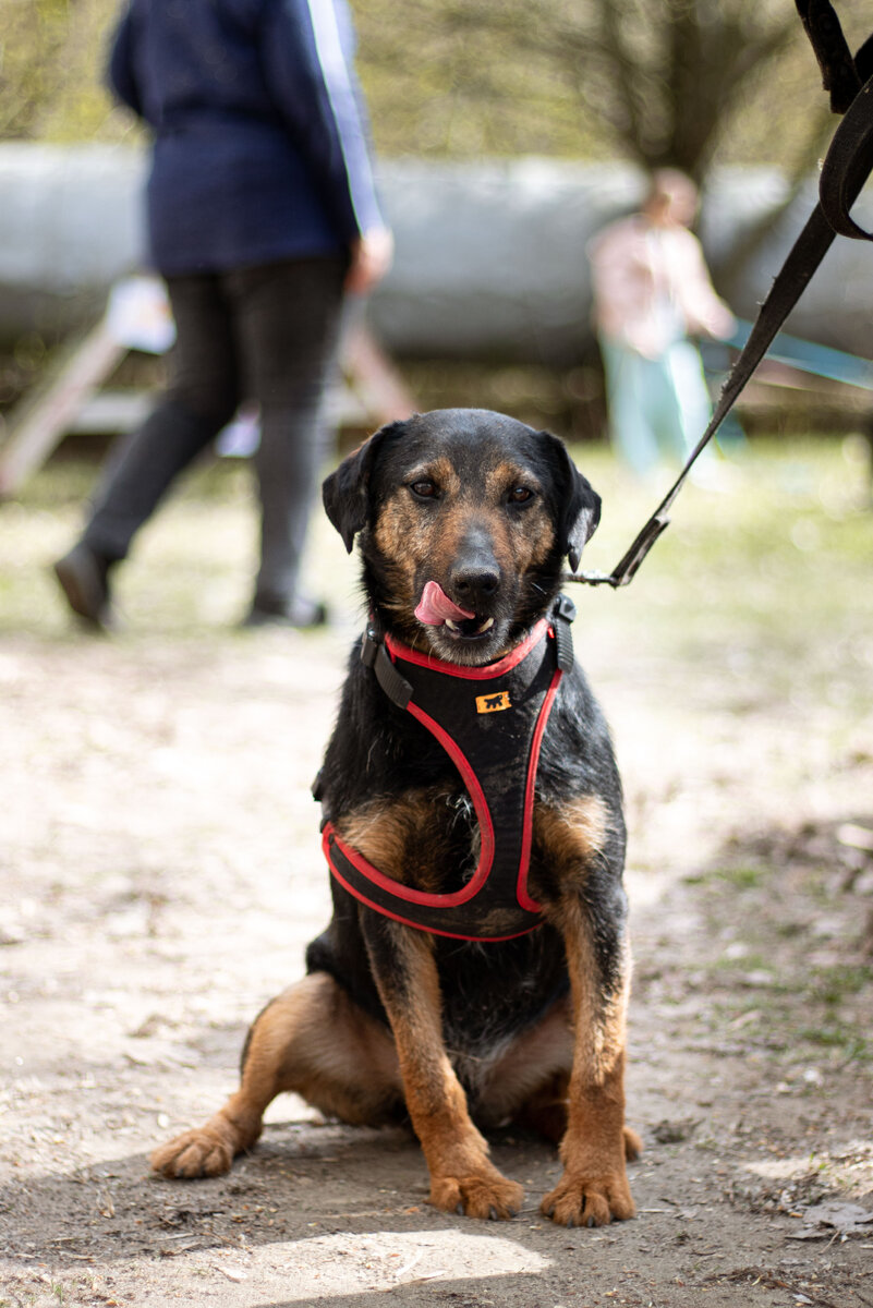 Знакомьтесь, Рональд🤗