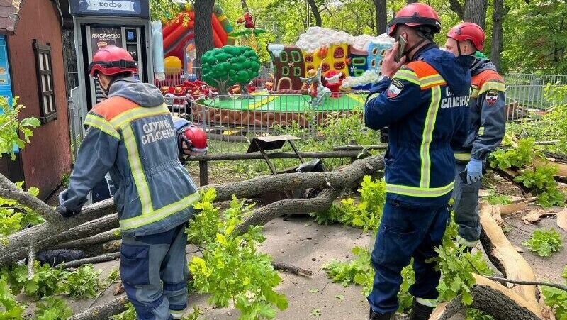     9 мая в 14:35 по местному времени (13:35 по мск) в службу 112 поступило сообщение о падении дерева на людей в городском парке. В результате происшествия погибла пенсионерка и 9-летняя девочка. Еще трое, включая двух детей, получили травмы.