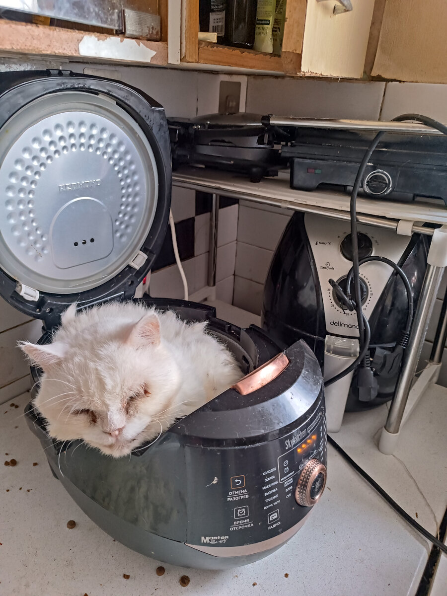 А это моё примерное состояние почти в час ночи. В озоне в такое время я обычно ещё подрядчиком, даже если только приехал