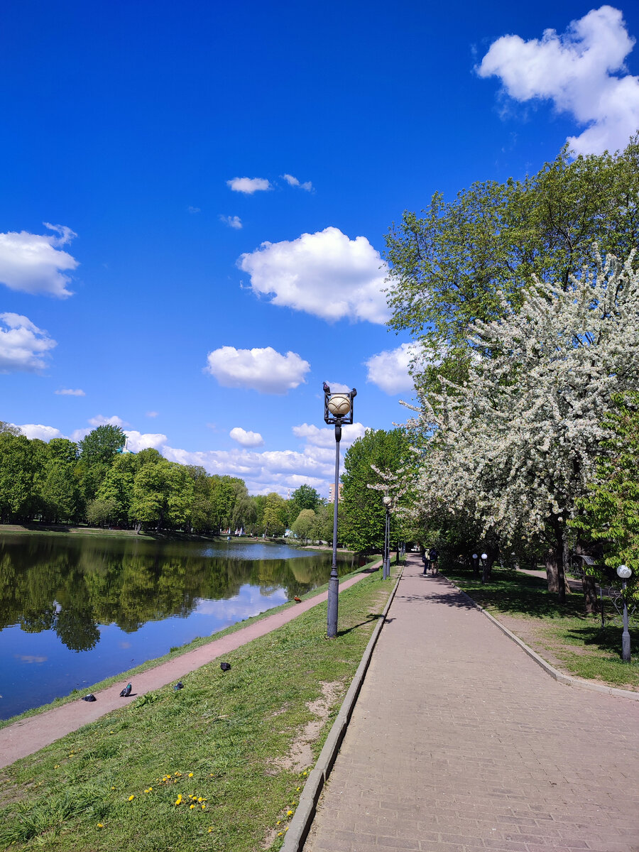 Екатерининский парк 